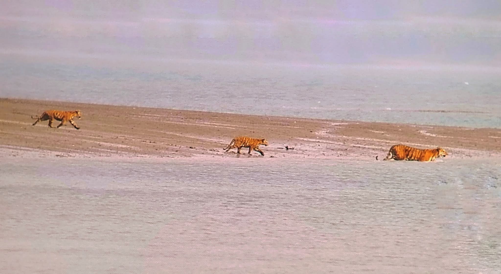 images/WhatsApp Image 2025-12-02 at 7.40.08 PM.jpeg